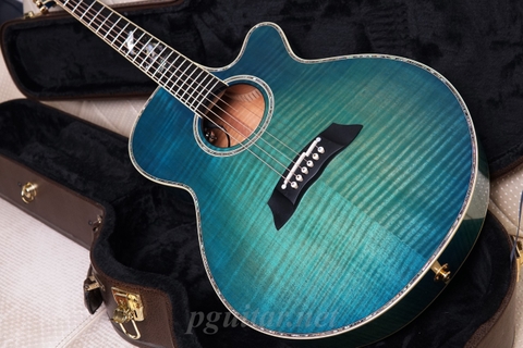 Guitar Takamine Decoy LTD2016 - Phiên bản giới hạn