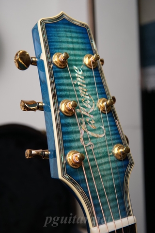 Guitar Takamine Decoy LTD2016 - Phiên bản giới hạn