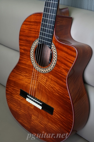 Murcia Fusion Shadow – Guitar Semi Classic Fishman Classica Blend