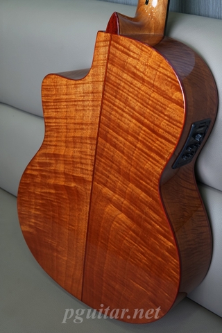 Murcia Fusion Shadow – Guitar Semi Classic Fishman Classica Blend