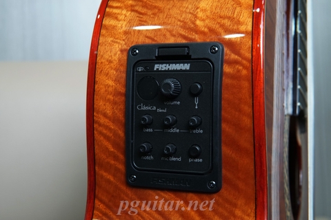 Murcia Fusion Shadow – Guitar Semi Classic Fishman Classica Blend