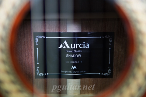 Murcia Fusion Shadow – Guitar Semi Classic Fishman Classica Blend