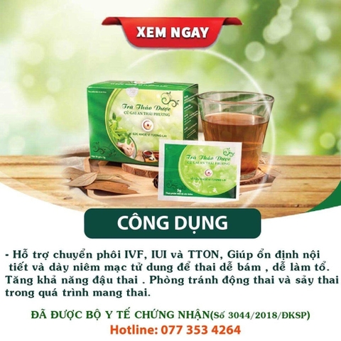 Trà Củ Gai An Thai