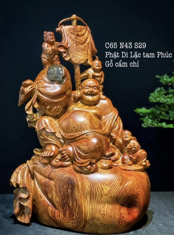 Di lạc Cẩm Vân Siêu Đỉnh