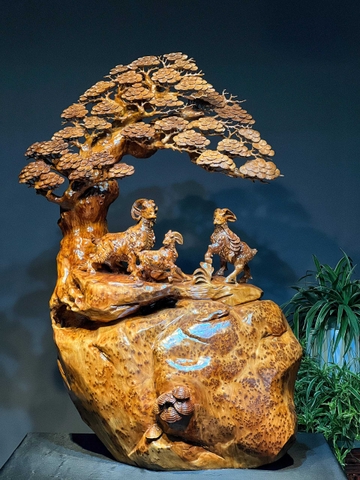 Tam dương khai thái gỗ nu ngọc am đẹp