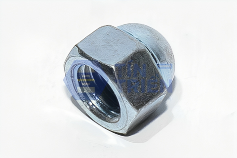 Tán bầu không long đền - M6