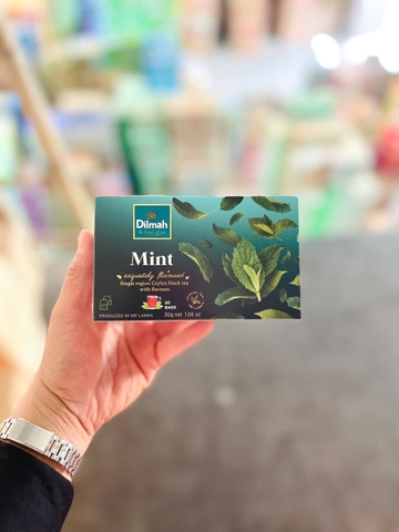 Trà nhúng Dilmah hương bạc hà/12 hộp