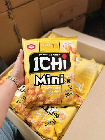Bánh gạo nhật Ichi Mini 150g/22