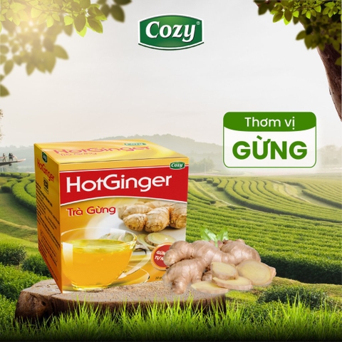 Trà Cozy hòa tan vị gừng hộp to/30