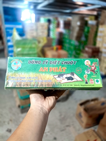 Keo dính chuột An Phát/12