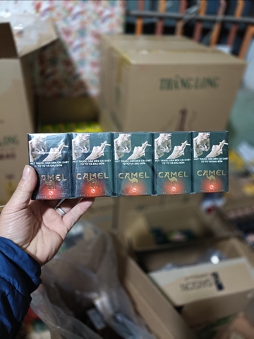 Thuốc lá Camel (lạc đà) Caster Black to/10