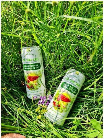 Trà thảo mộc gai leo/24