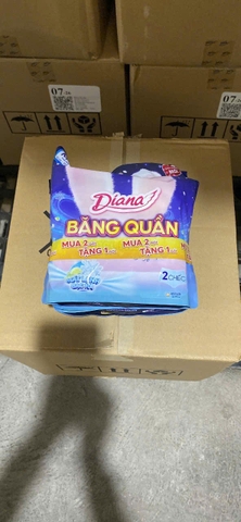 Diana quần M-L Cool mát lạnh 2 miếng kẹp/12bộ