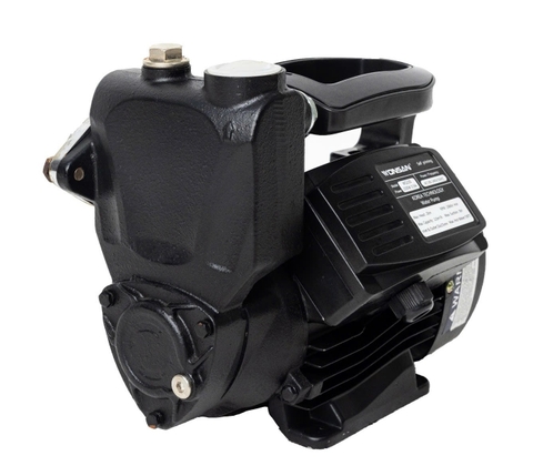 Bơm chân không WS400