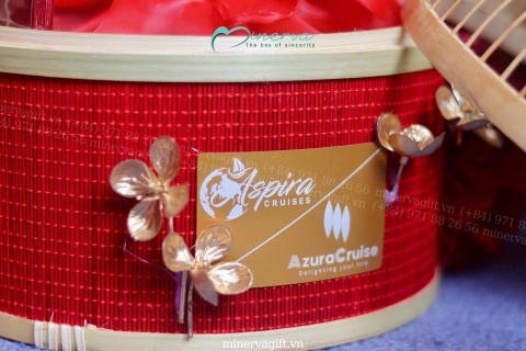 MINERVA & ASPIRA CRUISE