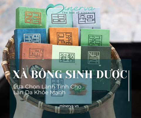 Xà Bông Sinh Dược – Món Quà Từ Thiên Nhiên, Lành Tính Và Tinh Tế