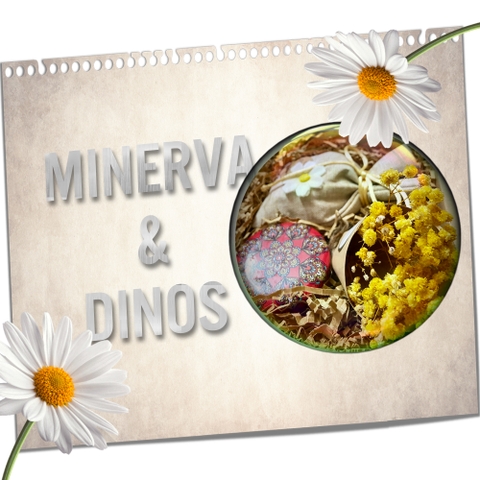 MINERVA x DINOS