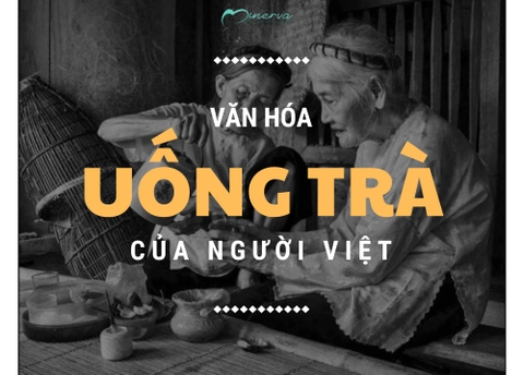 Văn Hóa Trà Việt Nam – Nghệ Thuật Thưởng Trà Qua Dòng Chảy Thời Gian