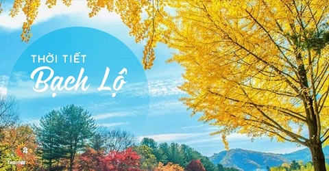 Tiết Bạch Lộ 2025 là ngày nào? Ý nghĩa và những điều cần biết.