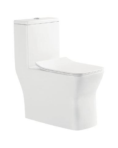 Bồn cầu 1 khối Dobidos LJ-126