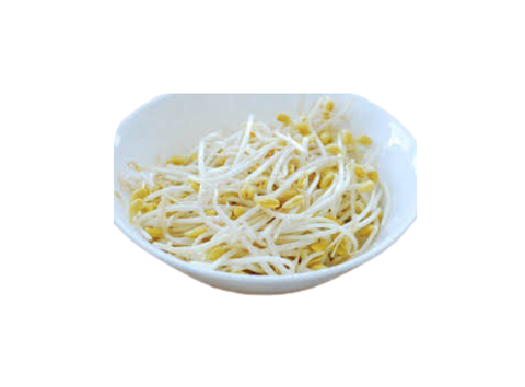 Giá sống Hàn Quốc