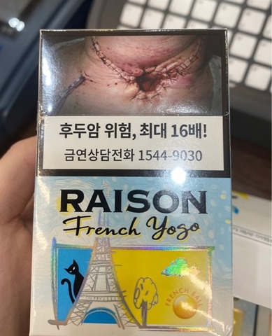 RAISON French YOGO