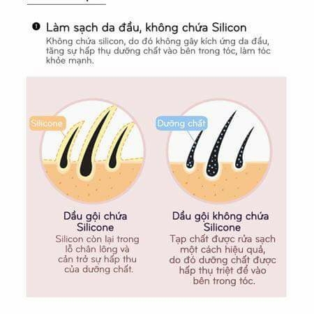 Dầu gội trà xanh AMOS 80ML/200ML giảm rụng tóc