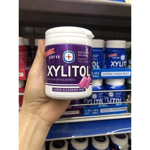 Kẹo Gum không đường Xylitol Blueberry Mint 137.8G Chính hãng 100%