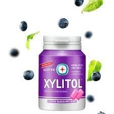 Kẹo Gum không đường Xylitol Blueberry Mint 137.8G Chính hãng 100%