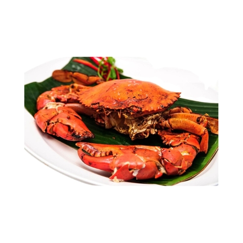 HƯƠNG CUA NƯỚNG