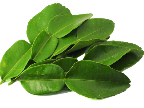HƯƠNG LÁ CHANH THÁI (KAFFIR)