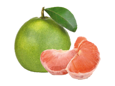 CHIẾT XUẤT BƯỞI