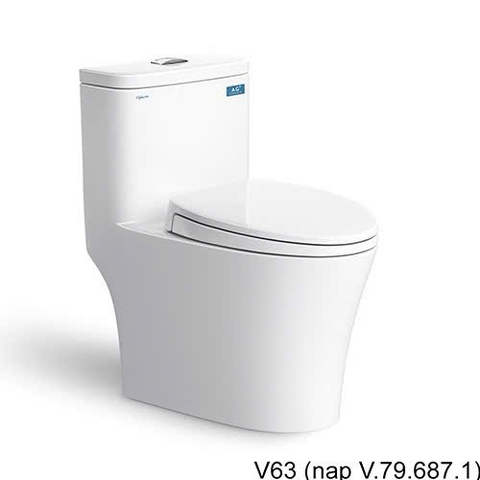 Bồn cầu liền 1 khối Viglacera V63