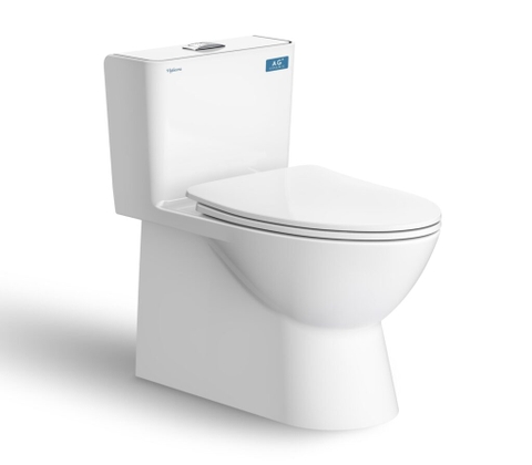 Bàn cầu một khối V808