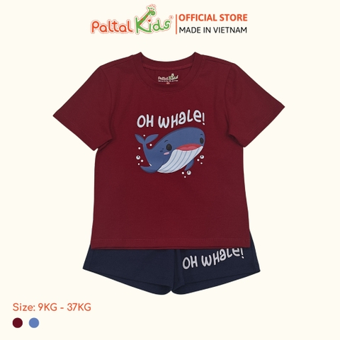 Đồ Bộ Đùi Cotton Mỹ Cao Cấp - 025 2112