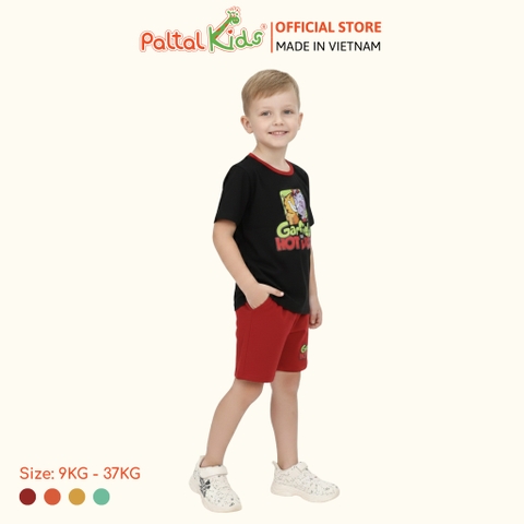 Đồ Bộ Đùi Cơ Bản Cotton Mỹ Bé Trai Cao Cấp - 025 2108