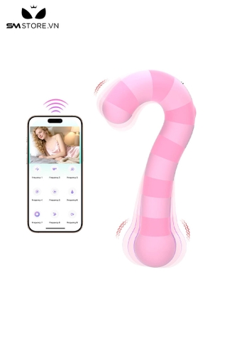 SMT2796 - Máy rung ngụy trang chiếc gậy điều khiển xa dài 16cm