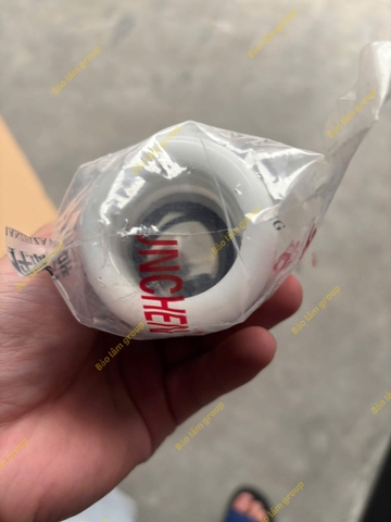 Bạc trục quả đào mooc FUWA