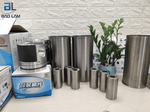 BỘ HƠI WEICHAI WP12