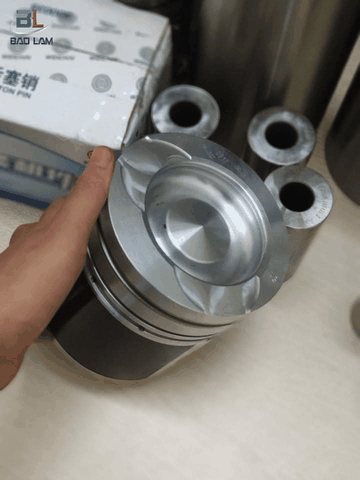 BỘ HƠI WEICHAI WP12