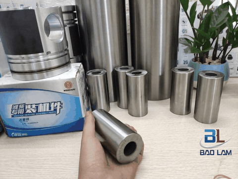 BỘ HƠI WEICHAI WP12