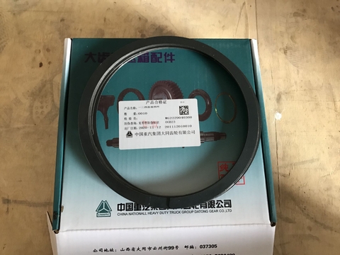 Phanh bánh răng số R HS HW10T