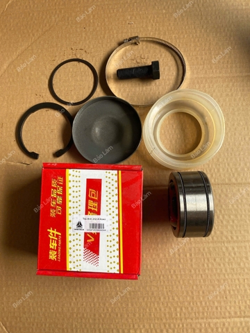 Táo đỉnh giằng cầu chữ V