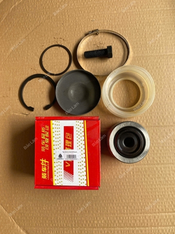 Táo đỉnh giằng cầu chữ V