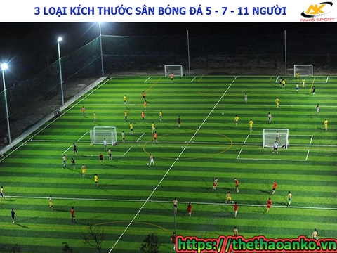 3 loại kích thước sân bóng đá bao gồm: 5 người, 7 người và 11 người