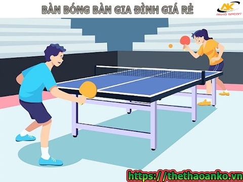 BÀN BÓNG BÀN GIA ĐÌNH GIÁ RẺ