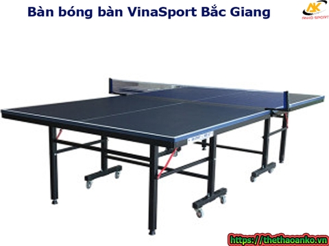 Bàn bóng bàn VinaSport tại Bắc Giang