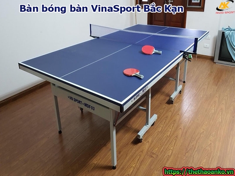 Bàn bóng bàn VinaSport Bắc Kạn