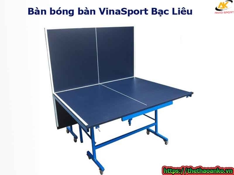 Bàn bóng bàn VinaSport Bạc Liêu