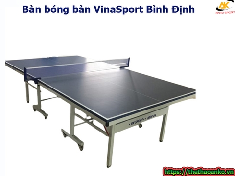Bàn bóng bàn VinaSport Bình Định